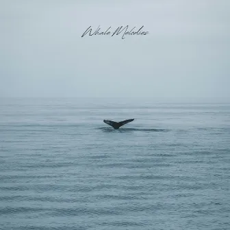 Whale Melodies by Sounds of Ice