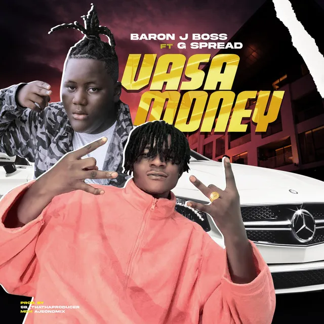 vasa money