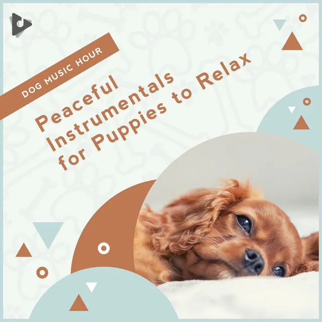 Peaceful Instrumentals for Puppies to Relax