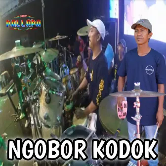 Ngobor Kodok by New Pallapa