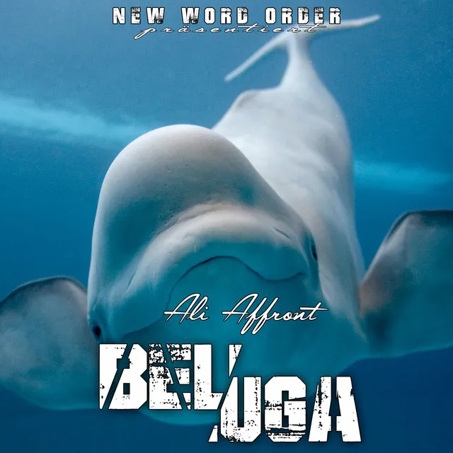 Beluga