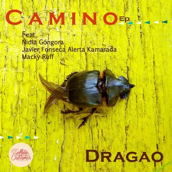 Camino by Dragao