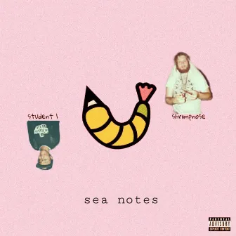 Sea Notes by student 1