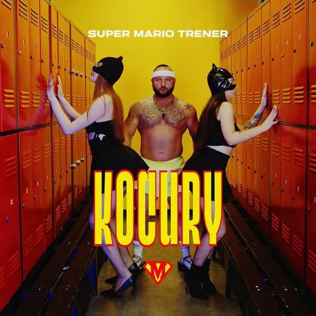 Kocury