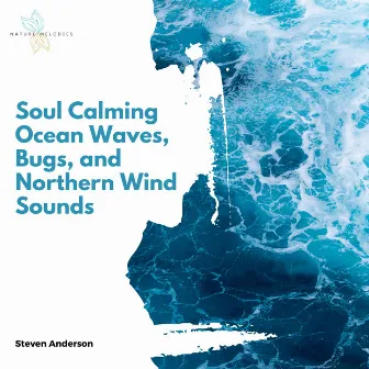 Soul Calming Ocean Waves, Bugs, and Northern Wind Sounds by Steven Anderson