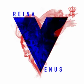 Reina Venus 4 by 