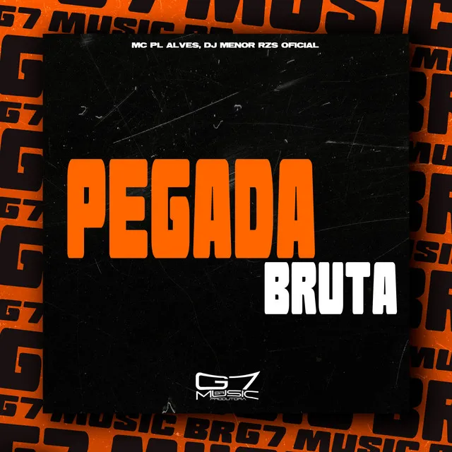 Pegada Bruta