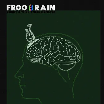 Frog Brain by Roddy