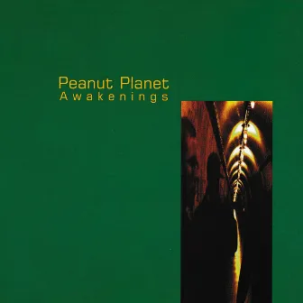 Awakenings by Peanut Planet