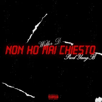 NON HO MAI CHIESTO by Diego Willer