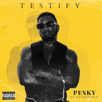 Testify by Pesky