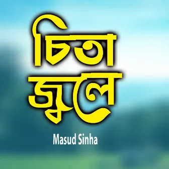 Chita Joley by Masud Sinha