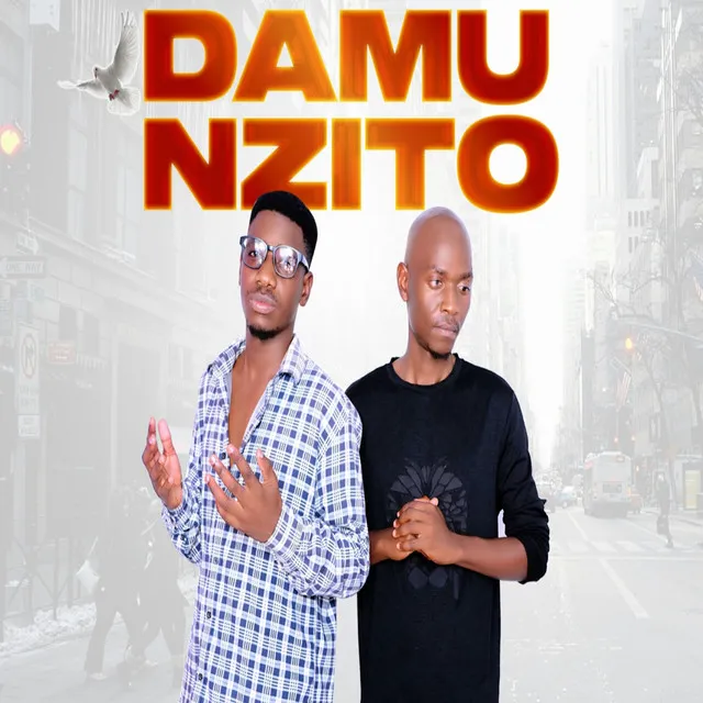 Damu Nzito