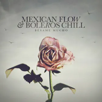 Bésame Mucho by Mexican Flow