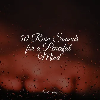 50 Rain Sounds for a Peaceful Mind by The Rainforest Collective