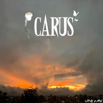 Icarus by darko gang