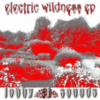 Electric Wildness EP by Kai Acid