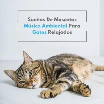 Sueños De Mascotas: Música Ambiental Para Gatos Relajados by Elementos de la naturaleza