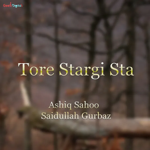 Tore Stargi Sta