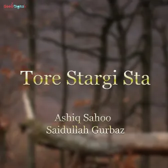 Tore Stargi Sta by Ashiq Sahoo