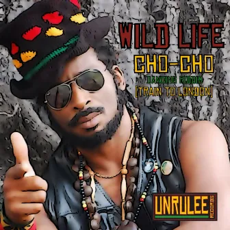 Cho Cho (Train to London) by Wild Life