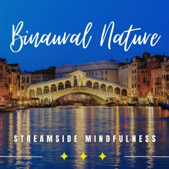 Nature's Currents: Binaural Water Meditations by Mind Medicine