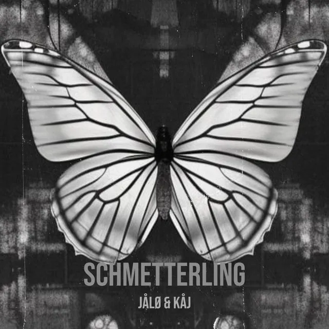 Schmetterling