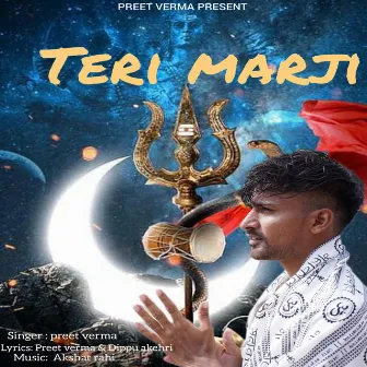 Teri Marji by Preet Verma