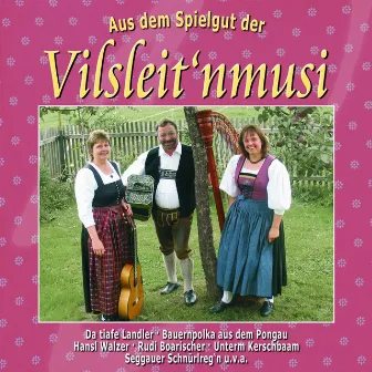 Aus dem Spielgut der Vilsleit'nmusi by Vilsleit'nmusi