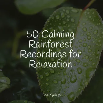 50 Calming Rainforest Recordings for Relaxation by Nature Chillout