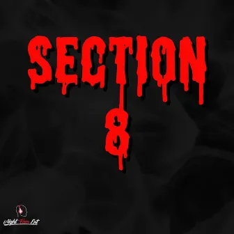 Section 8 by A.F.E. HitSquad