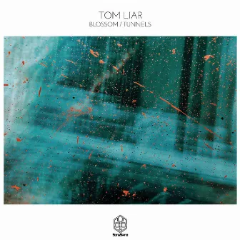 Blossom / Tunnels by Tom Liar