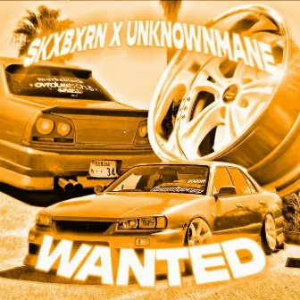 WANTED by unknownmane