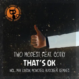 That's Ok, Pt. 2 Remixes by Two Modest