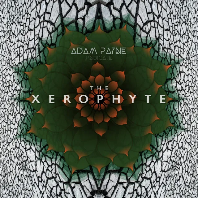 The Xerophyte