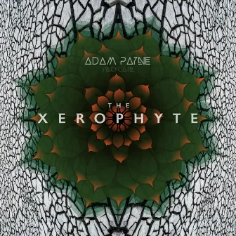 The Xerophyte by Adam Payne