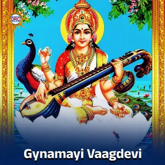 Gynamayi Vaagdevi by D sarangapani