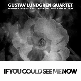 If You Could See Me Now by Gustav Lundgren Quartet