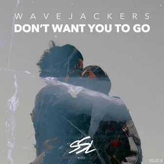 Don't Want You To Go by Wavejackers