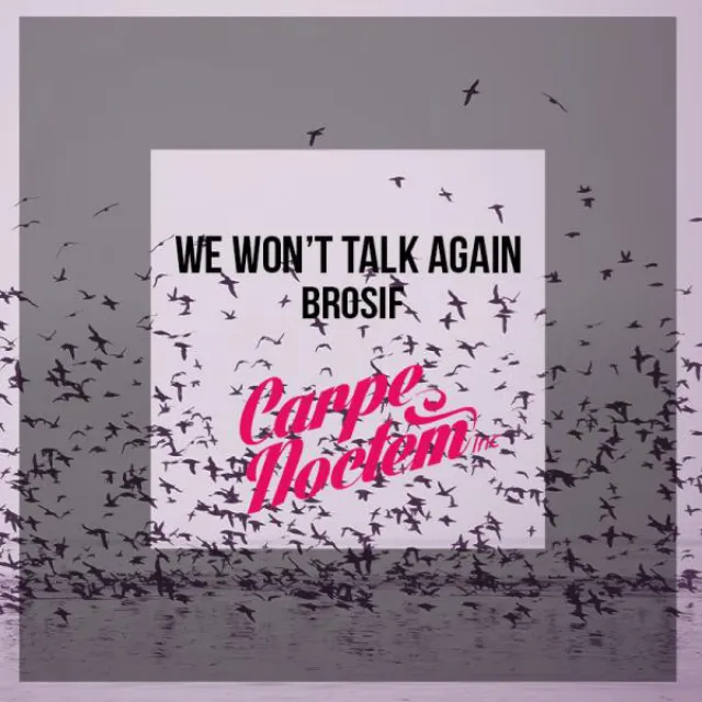 We Won't Talk Again - Original Mix