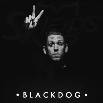 Black Dog by Shields