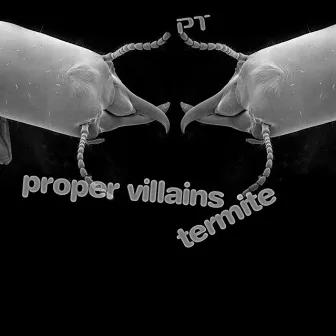 Termite by Proper Villains