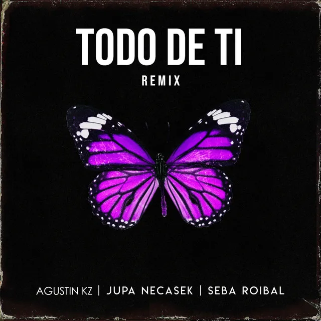 Todo de Ti - Remix