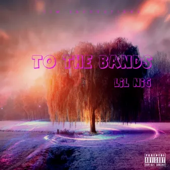 To The Bands by Lil Nig