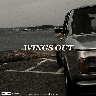 Wings Out by Louis Laflam