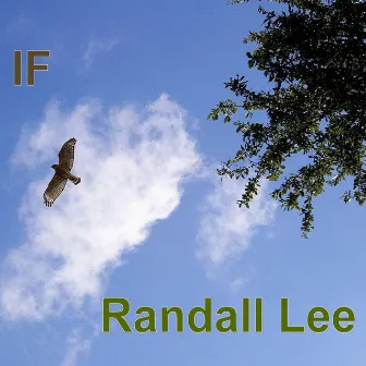 If by Randall Lee