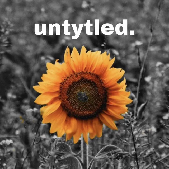 Untytled