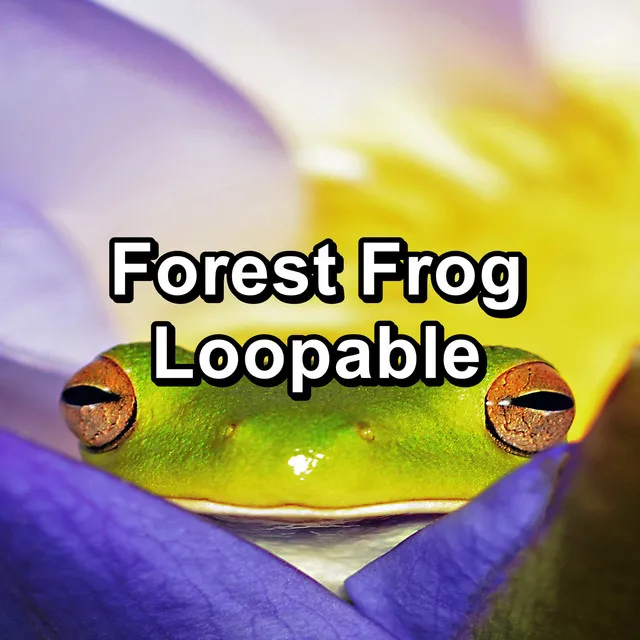 Loopable Frog Sound