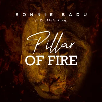 Pillar of Fire by Sonnie Badu