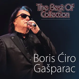 The Best Of Collection by Boris Ciro Gasparac